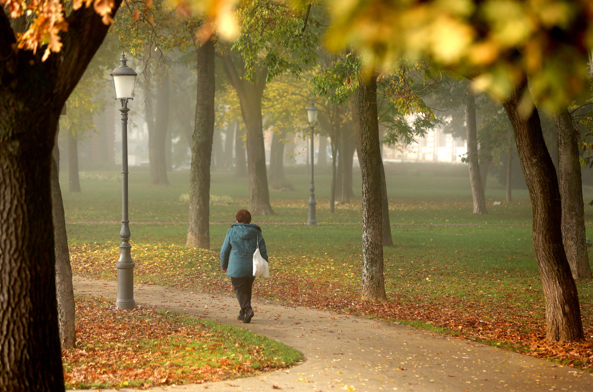köd, ősz, időjárás, Szeged, park, séta